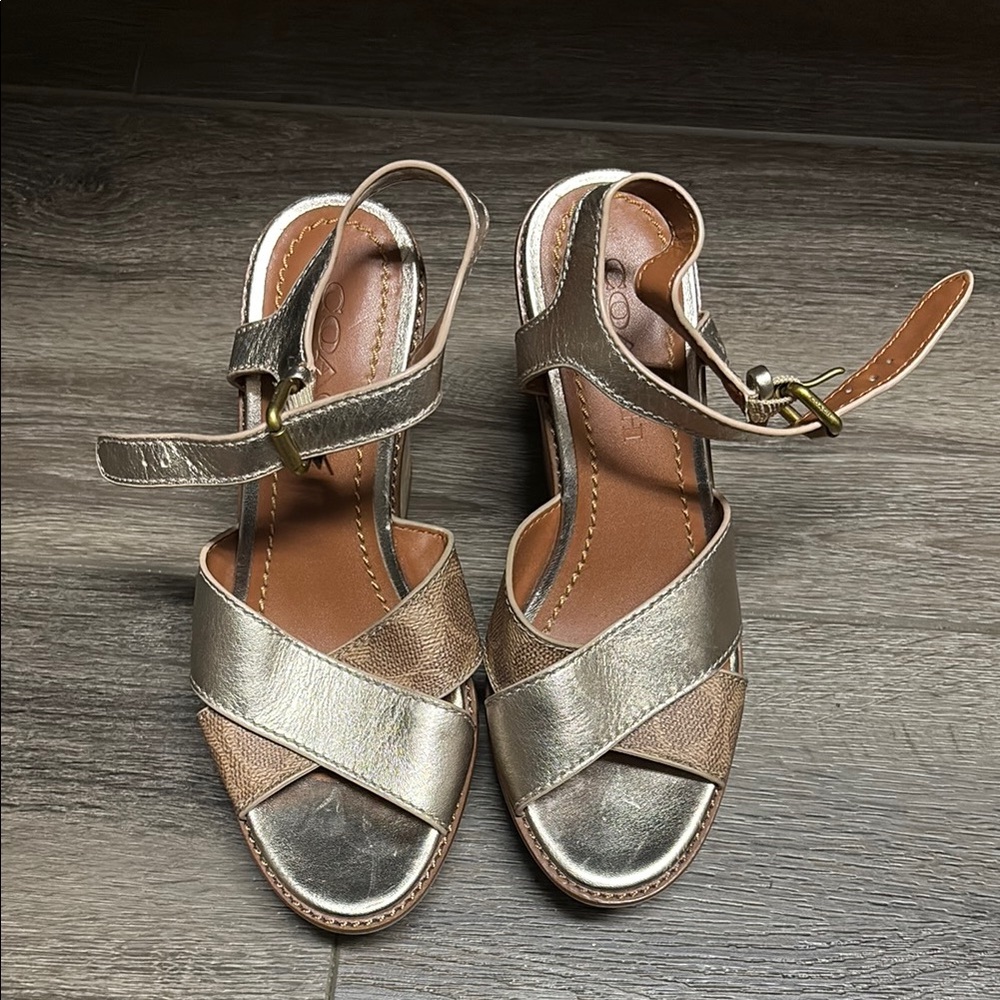 Coach Metallic Wedge Sandals